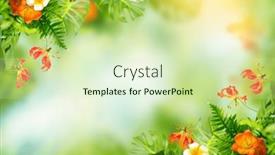  Presentation with green foliage - PPT theme with abstract-summer-tropical-foliage background and a soft green colored foreground