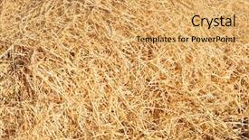  Presentation with straw - Slides having cardboard bale - abstract texture close up golden background and a yellow colored foreground