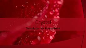  Presentation with dew - Slide set having abstract-texture-picture-of-red background and a crimson colored foreground
