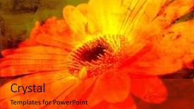  Presentation with grunge flower - Presentation having abstract textured grunge background background and a dark gray colored foreground