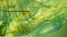  Presentation with abstract art - Presentation theme having abstract-textured-neon-background-transparent background and a yellow colored foreground