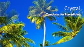  Presentation with luxury resort nature - 