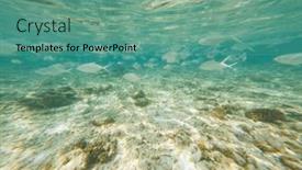  Presentation with clear - 