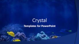  Presentation with fishes - PPT theme featuring abstract-underwater-background-with-yellow background and a navy blue colored foreground