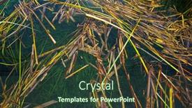  Presentation with water park - Beautiful theme featuring abstract-water-natural-details backdrop and a tawny brown colored foreground