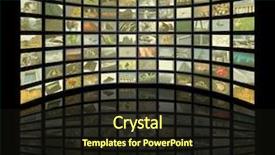  Presentation with pictures of birds - Audience pleasing slides consisting of abstract widescreen - tfts showing pictures - all backdrop and a wine colored foreground