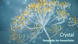  Presentation with wild flower - Audience pleasing PPT theme consisting of daisies dry grass - abstract wild flower blur background backdrop and a ocean colored foreground