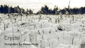  Presentation with promotions - Beautiful slide set featuring abstract-winter-background-winter-outdoor backdrop and a light gray colored foreground