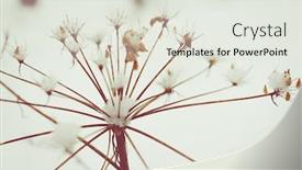  Presentation with media print - Slide deck having abstract-winter-background-winter-outdoor background and a sky blue colored foreground