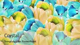  Presentation with yellow color - Presentation having abstrat beautiful combination color - background of turquoise blue background and a yellow colored foreground