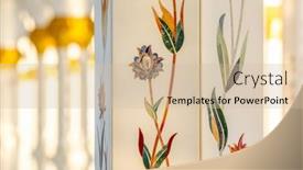  Presentation with uae zayed grand mosque - Beautiful slide deck featuring abu-dhabi-uae-november-23 backdrop and a  colored foreground