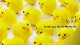  Presentation with chicks - PPT theme consisting of abundance of easter chicks background and a yellow colored foreground