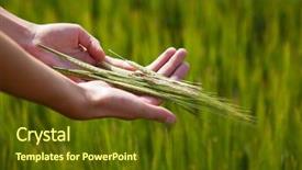  Presentation with fertility - Amazing PPT theme having biofertilizer - symbolic gesture suggesting fertility plenitude backdrop and a tawny brown colored foreground