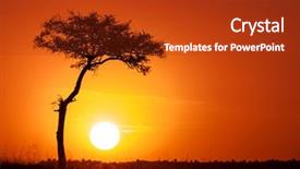  Presentation with tree silhouette - Cool new presentation design with acacia tree and the setting backdrop and a crimson colored foreground