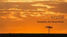  Presentation with tree silhouette - Presentation enhanced with acacia-tree-at-dusk background and a gold colored foreground
