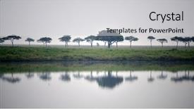  Presentation with serengeti africa - Theme having acacia trees and several birds background and a light gray colored foreground