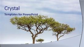  Presentation with kenya - Beautiful PPT theme featuring acacia tress in the masai backdrop and a sky blue colored foreground