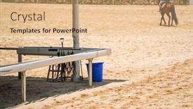  Presentation with equestrian - PPT theme consisting of accessories-for-horse-trainings background and a coral colored foreground