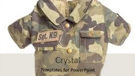  Presentation with costume - Slide deck featuring accessory-that-can-be-used background and a coral colored foreground