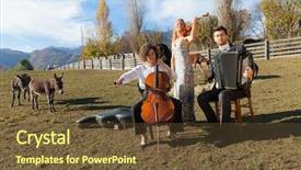  Presentation with rape in crime scene investigation - Colorful presentation enhanced with accordion - portrait of three young musicians backdrop and a tawny brown colored foreground