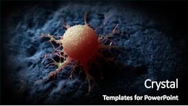  Presentation with cancer cell - PPT layouts featuring accurate illustration of a cancer background and a black colored foreground