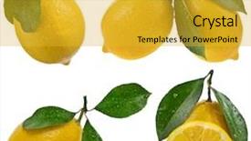  Presentation with lemon - Presentation design featuring acid rain - collection set of lemon fruits background and a gold colored foreground