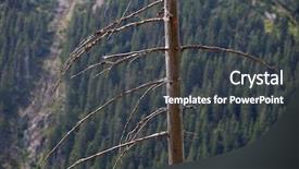  Presentation with acid rain - Cool new presentation with acid rain - dead tress in an alpine backdrop and a dark gray colored foreground