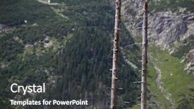  Presentation with acid rain - Presentation theme featuring acid rain - dead tress in an alpine background and a dark gray colored foreground