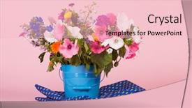  Presentation with summer flowers - Slide deck consisting of aconitum - colorful summer garden flowers background and a  colored foreground