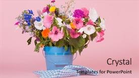  Presentation with football blue colors - Beautiful theme featuring aconitum - colorful summer garden flowers backdrop and a  colored foreground