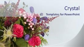  Presentation with blue flower bulb field - PPT theme with aconitum - detail mixed bouquet flowers background and a sky blue colored foreground