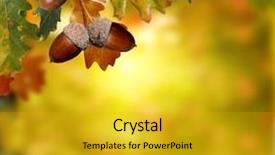  Presentation with autumn - Beautiful PPT theme featuring acorn - autumn background backdrop and a gold colored foreground