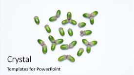  Presentation with earth science green and white - Presentation enhanced with green acorns on white background background and a cool aqua colored foreground