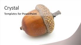  Presentation with interior design of classic white - PPT layouts featuring acorn on a white background background and a white colored foreground