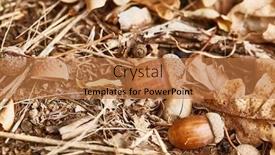  Presentation with leaves - Presentation with acorns-and-fallen-leaves background and a coral colored foreground