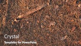  Presentation with leaves of the wetland forest - Amazing PPT layouts having acorns-and-fallen-leaves backdrop and a tawny brown colored foreground