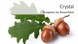  Presentation with leaves - Beautiful slide deck featuring white background storage and transportation backdrop and a  colored foreground.