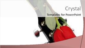  Presentation with rose flower - Cool new PPT theme with leadership - execution backdrop and a forest green colored foreground