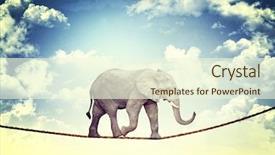  Presentation with acrobatics - PPT layouts having acrobatics - abstract image of acrobat elaphant background and a cream colored foreground