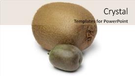  Presentation with kiwi fruit - Amazing presentation design having actinidia - whole kiwi fruit and kiwi backdrop and a  colored foreground