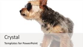  Presentation with movie studio - Presentation featuring action posture on white background and a light gray colored foreground