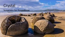  Presentation with maori new zealand native bush - Presentation with active eco and photo - tourism background and a light blue colored foreground