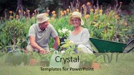  Presentation with grandfather - Colorful presentation enhanced with active filtetrws - happy grandmother and grandfather gardening backdrop and a mint green colored foreground