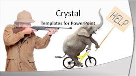  Presentation with animated shooting stars - Slide set having rockstar - studio shoot people portrait concept background and a gray colored foreground