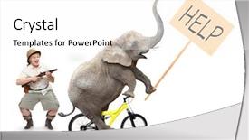  Presentation with crazy - Theme enhanced with active shooter - crazy hunter shooting to crazy background and a white colored foreground