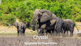  Presentation with african river - Theme with active tourism river okavango botswana background and a coral colored foreground