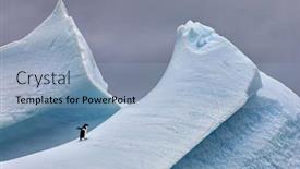  Presentation with iceberg - Colorful slides enhanced with ad-lie-penguin-walking-up backdrop and a light blue colored foreground