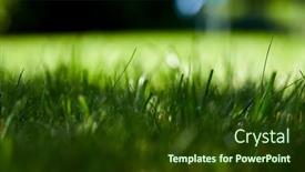  Presentation with grass - PPT layouts consisting of add-to-likebox-lush-green background and a tawny brown colored foreground