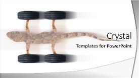  Presentation with tires - Beautiful slide deck featuring adhere new tires speed - gecko and tires in high speed on white background backdrop and a sky blue colored foreground