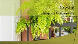  Presentation with fern - PPT theme having adiantum-capillus-veneris-venus-hair background and a yellow colored foreground